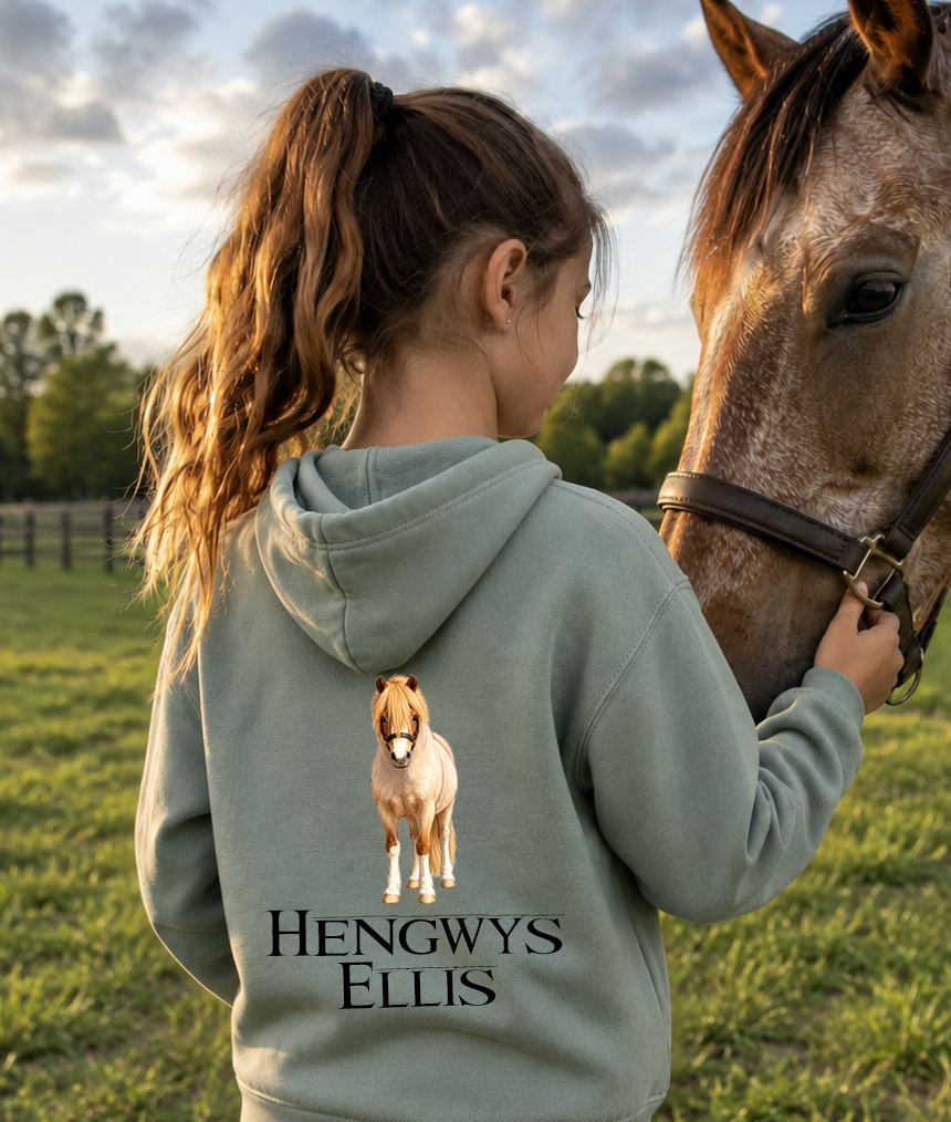 Childs Personalised Hoodie with Cartoon image of own horse
